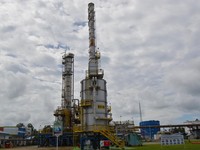 Harga Minyak Rebound, WTI Hampir Sentuh US$73 per Barel
