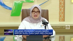 Jelang Pemerintahan Baru, Impor Susu dan Sapi Melonjak
