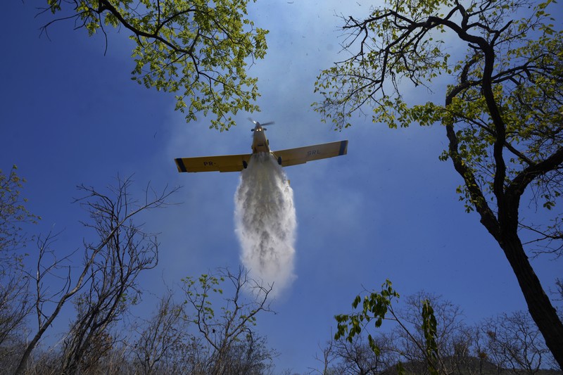Kebakaran hutan melanda kawasan lindung lingkungan di Taman Nasional Brasilia. (AP Photo/Eraldo Peres)