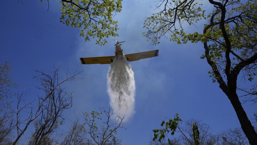 Kebakaran hutan melanda kawasan lindung lingkungan di Taman Nasional Brasilia. (AP Photo/Eraldo Peres)
