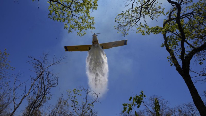 Kebakaran hutan melanda kawasan lindung lingkungan di Taman Nasional Brasilia. (AP Photo/Eraldo Peres)