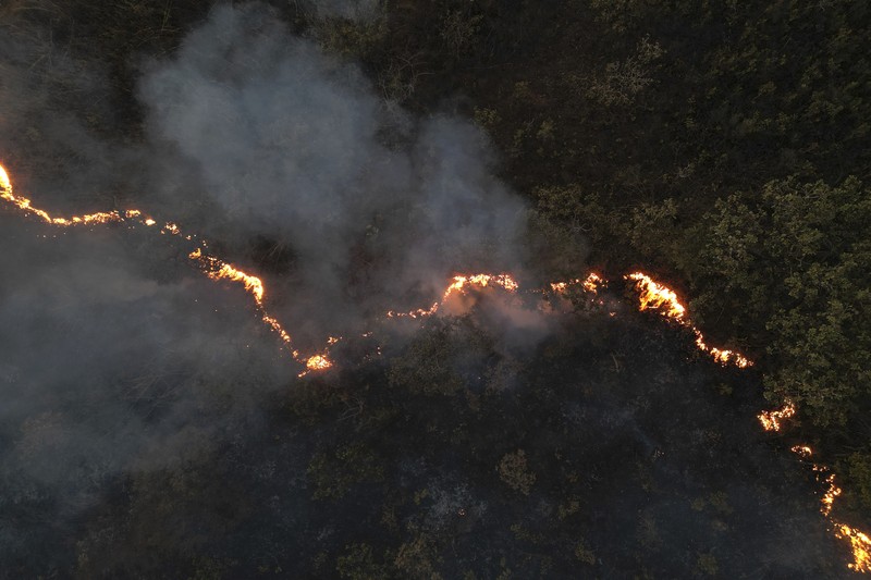 Kebakaran hutan melanda kawasan lindung lingkungan di Taman Nasional Brasilia. (AP Photo/Eraldo Peres)