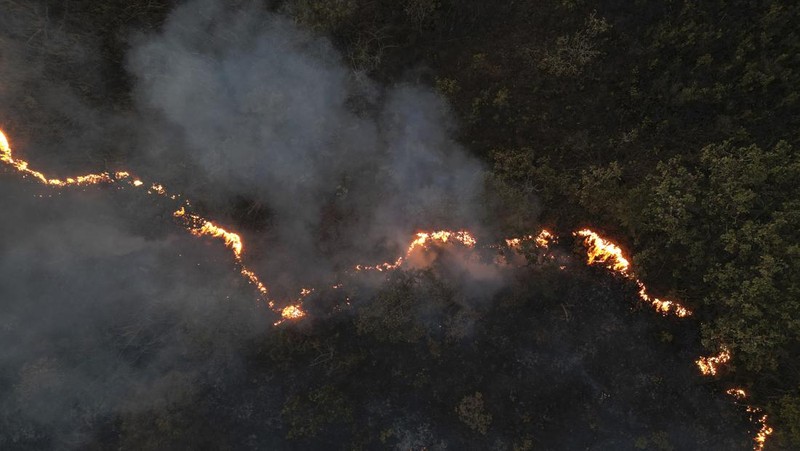 Kebakaran hutan melanda kawasan lindung lingkungan di Taman Nasional Brasilia. (AP Photo/Eraldo Peres)