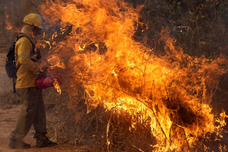 Kebakaran hutan melanda kawasan lindung lingkungan di Taman Nasional Brasilia. (AP Photo/Eraldo Peres)