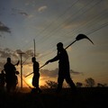 Kebakaran hutan melanda kawasan lindung lingkungan di Taman Nasional Brasilia. (AP Photo/Eraldo Peres)