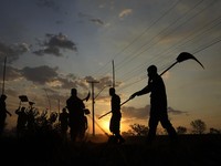 Kebakaran hutan melanda kawasan lindung lingkungan di Taman Nasional Brasilia. (AP Photo/Eraldo Peres)