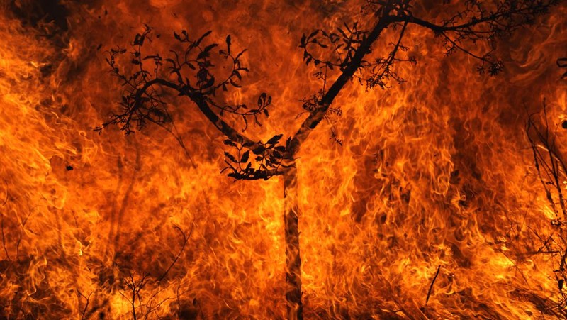 Kebakaran hutan melanda kawasan lindung lingkungan di Taman Nasional Brasilia. (AP Photo/Eraldo Peres)