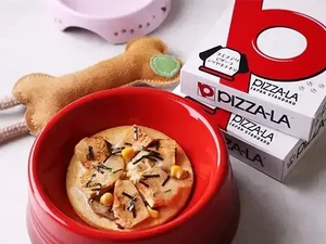 Kini di Jepang, Ada Pesan Antar Pizza Khusus untuk Anjing