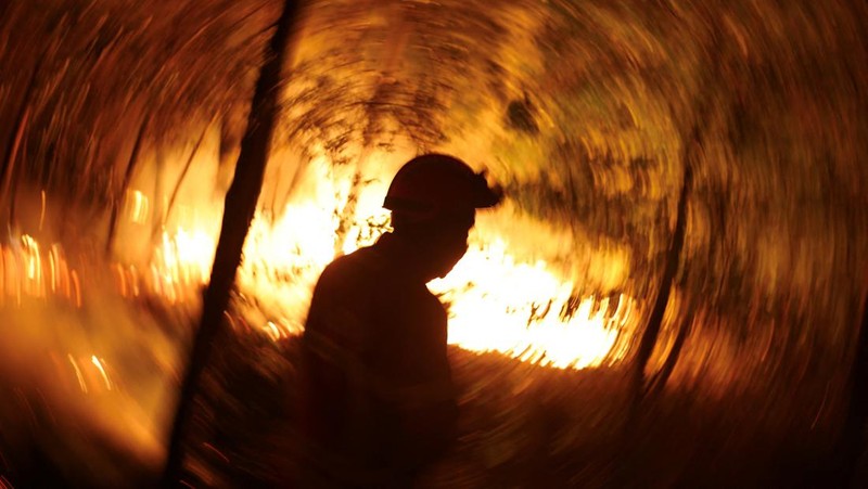 Seorang pria memegang ember selama kebakaran hutan di Nelas, Portugal, 16 September 2024. (REUTERS/Pedro Nunes)