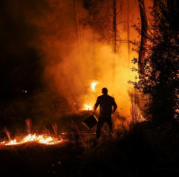 Potret Eropa Membara bak 'Neraka', Panas Ekstrem Picu Kebakaran Hutan