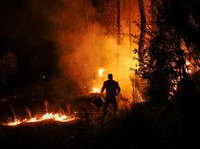 Potret Eropa Membara bak 'Neraka', Panas Ekstrem Picu Kebakaran Hutan