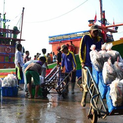 Nelayan Cirebon Mancing di Laut Jawa, Nyangkut Harta Karun Rp 720 M