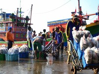 Nelayan Cirebon Mancing di Laut Jawa, Nyangkut Harta Karun Rp 720 M