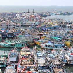 5 Nelayan Bertahan Hidup Selama 55 Hari Terombang-ambing di Laut