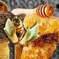 Madu Indonesia: Rasanya Manis, Nasibnya Pahit