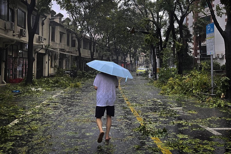 Dalam foto yang dirilis oleh Kantor Berita Xinhua ini, para pekerja membersihkan pohon tumbang di sepanjang jalan setelah Topan Bebinca di Shanghai, Tiongkok, Senin, 16 September 2024. (Chen Haoming/Xinhua via AP)