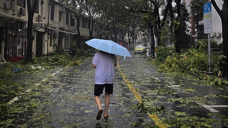 Dalam foto yang dirilis oleh Kantor Berita Xinhua ini, para pekerja membersihkan pohon tumbang di sepanjang jalan setelah Topan Bebinca di Shanghai, Tiongkok, Senin, 16 September 2024. (Chen Haoming/Xinhua via AP)