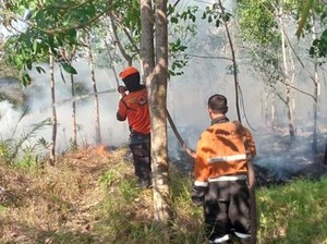 Karhutla di Muara Enim Meluas, Perkebunan Karet Warga Terdampak