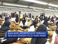 Video: Kemasan Polos Tanpa Merek Ancam Industri Tembakau