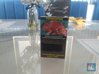 Standardisasi Kemasan Picu Kenaikan Rokok Ilegal, Ini Kata Kemenperin