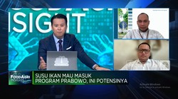 Video: Susu Ikan Yang Bukan 
