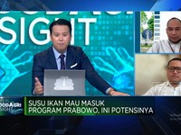 Video: Susu Ikan Yang Bukan 