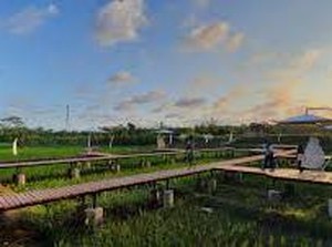 7 Desa Wisata di Kebumen yang Cocok Dikunjungi Bersama Keluarga