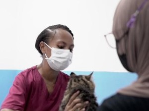 Kisah Amelia, Gadis Papua yang Jadi Dokter Hewan Berkat Beasiswa ADik