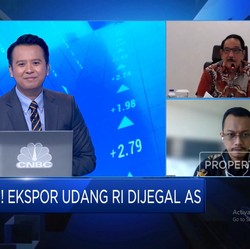Video: Dijegal AS, Penambak Udang RI Incar Pasar Ekspor Negara Lain