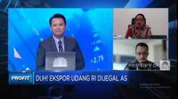 Video: Dijegal AS, Penambak Udang RI Incar Pasar Ekspor Negara Lain