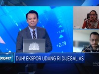 Video: Dijegal AS, Penambak Udang RI Incar Pasar Ekspor Negara Lain