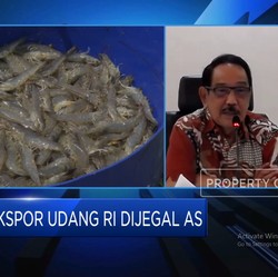 Video: Ekspor Udang RI Dijegal AS, KKP Ungkap 