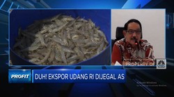 Video: Ekspor Udang RI Dijegal AS, KKP Ungkap 