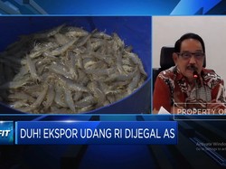 Video: Ekspor Udang RI Dijegal AS, KKP Ungkap "Perlawanan" RI!