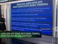 Video: Menilik Prospek Spin Off Anak Usaha ADRO