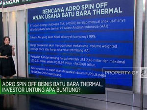 Video: Menilik Prospek Spin Off Anak Usaha ADRO