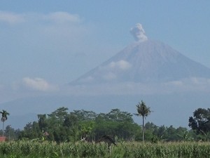 Gunung Semeru Erupsi Luncurkan Abu Vulkanik 500 Meter