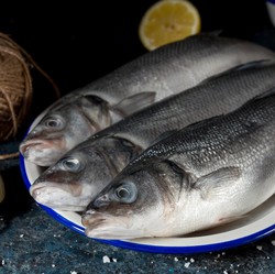 Motif Tersembunyi Dibalik Ikan Bandeng yang Jadi Hidangan Imlek