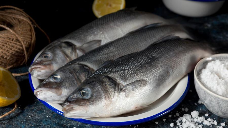 Ilustrasi ikan bandeng