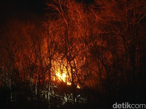 Bukit di Perbatasan Kulon Progo-Purworejo Terbakar