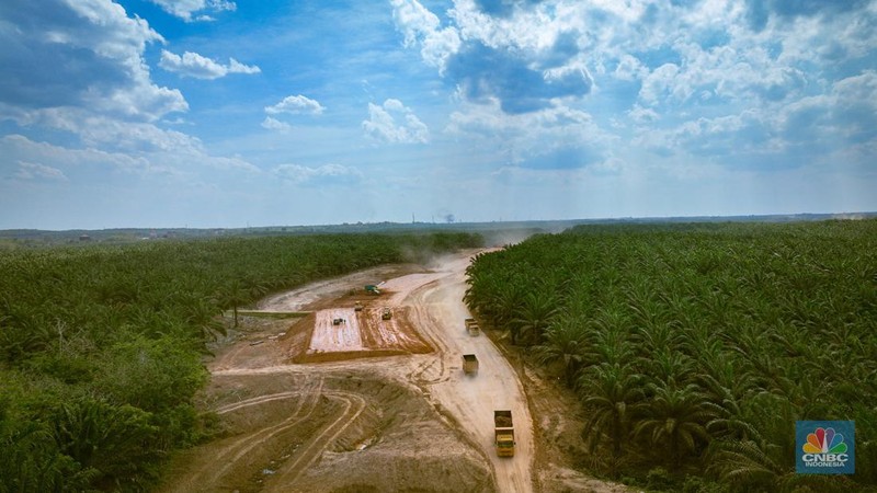 Beberapa pekerja mengoperasikan alat berat untuk meratakan tanah di proyek Tol Betung - Tempino - Jambi seksi 1A di Banyuasin, Palembang, Jumat (20/9/2024). (CNBC Indonesia/Tias Budiarto)