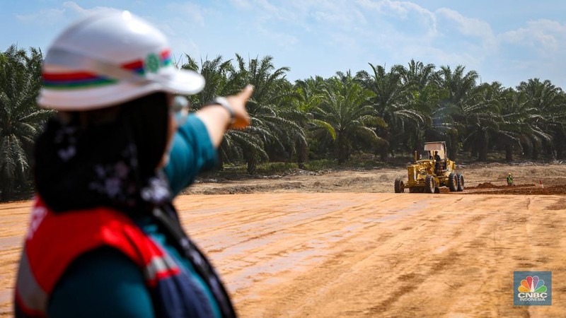 Beberapa pekerja mengoperasikan alat berat untuk meratakan tanah di proyek Tol Betung - Tempino - Jambi seksi 1A di Banyuasin, Palembang, Jumat (20/9/2024). (CNBC Indonesia/Tias Budiarto)