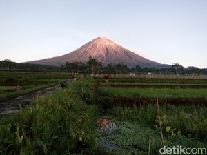 Gunung Semeru Erupsi Luncurkan Abu Vulkanik 300 Meter