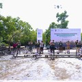 SPTP Rehabilitasi 25 Hektar Kawasan Mangrove di Sulawesi Tenggara