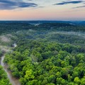 9 Negara dengan Julukan Paru Paru Dunia Selain RI, Penyelamat Bumi