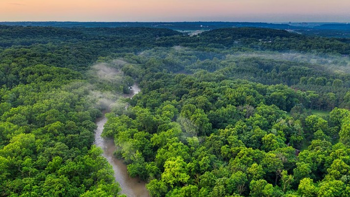 Hutan Amazon