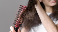 Pagi Buru-Buru ke Kantor? Satu Alat Ini Gantiin Brush dan Hair Dryer Sekaligus