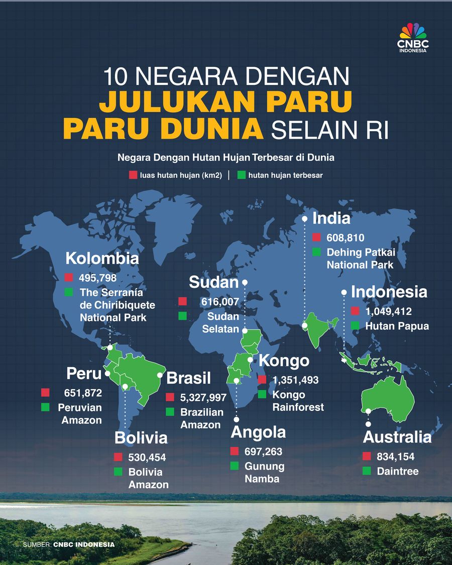 9 Negara dengan Julukan Paru Paru Dunia Selain RI, Penyelamat Bumi