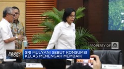 Video: Sri Mulyani 