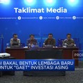 Video: 